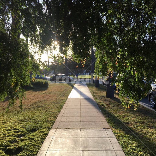 path,통로,sidewalk,보도,포장,pavement