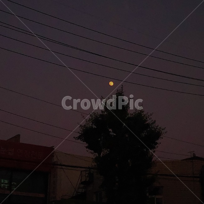 밤하늘,달,보름달,sky,moon