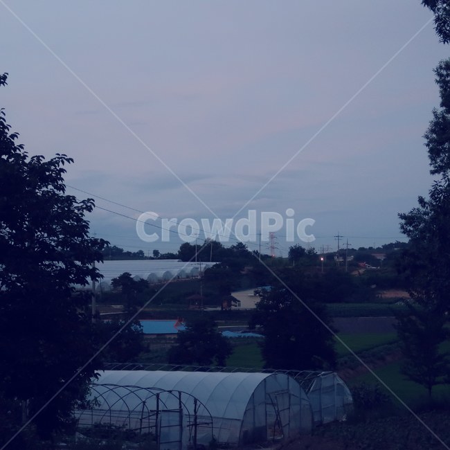 nature,outdoors,countryside,자연,옥외,시골,지방,비닐,하우스,비닐하우스,노을,정겨운