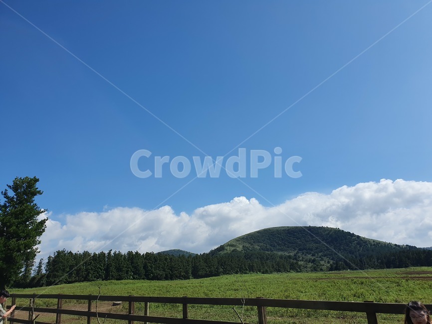 자연,들,nature,outdoors,human,자연,풍경,nature,landscape,옥외,grassland,목초지,field