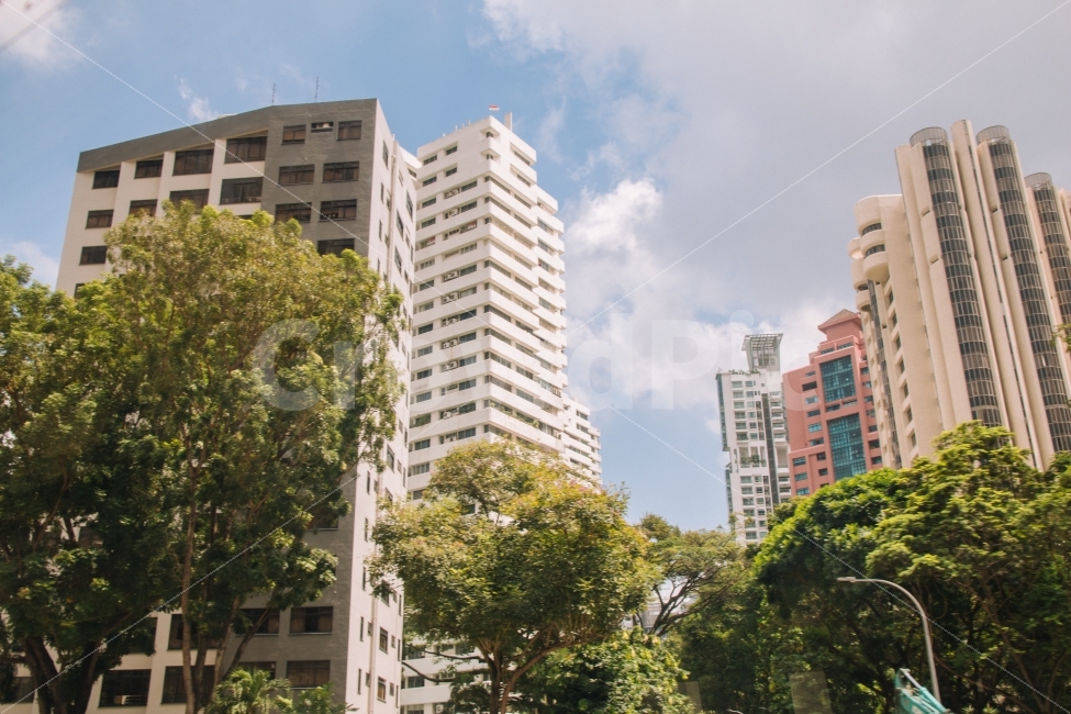 싱가포르,도시,건물,하늘,나무,공원,singapore,city,sky,tree,도시,풍경,city,landscape,해외,외국,세계,foreign,oversea,world,감성,sensible,feeling,색깔,색상,색채,색감,color sense,color sensitivity,feeling of color,비즈니스,사업,business,service,work,building,office building,사무실 건물