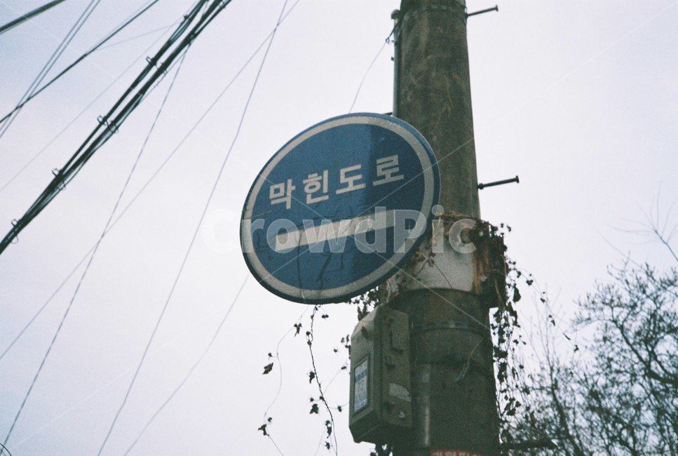 교통,표지판,막힌도로,주의,팻말,교통표지판