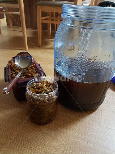 매실,매실차,봄,열매,장아찌,매실액,음식,푸드,food