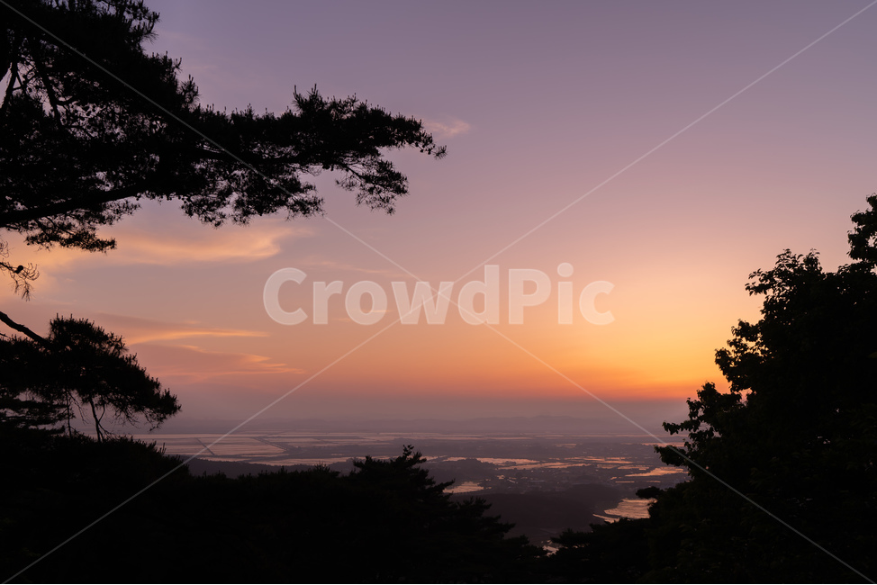 풍경,일몰,하늘,나무,그라데이션,매직아워,자연,풍경,nature,landscape,outdoors,옥외,sky,dusk,황혼,sunset,red sky,붉은 하늘,dawn,새벽,silhouette,실루엣