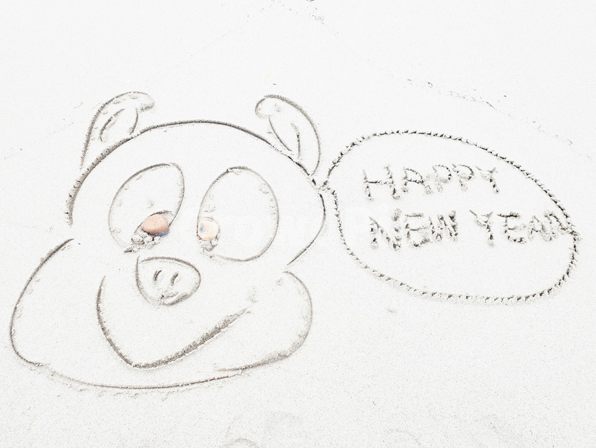 새해인사,happynewyear,해변낙서,2019년새해인사,돼지의해,기해년인사,2019년인사,바닷가낙서,돼지,모래글씨,해변글씨,해변,바다,beach,sea
