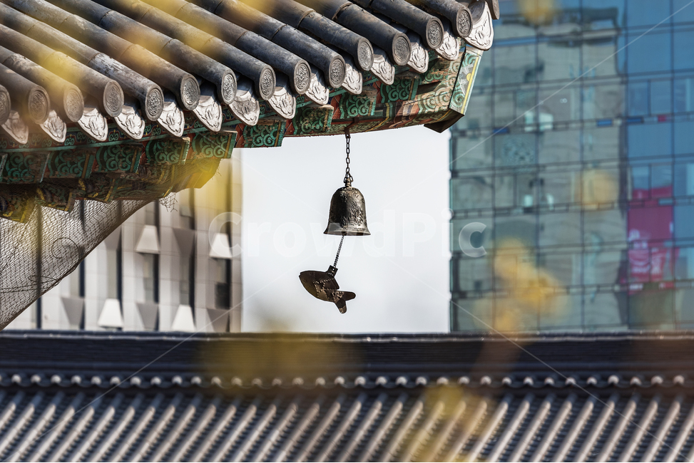 풍경,도시,물고기,맑은소리,기와,사찰,한국전통,한국문화,korean traditional,korean culture,종교,신앙,religion,belief,faith,건축물,건물외관,exterior,building,structure,architecture,construction