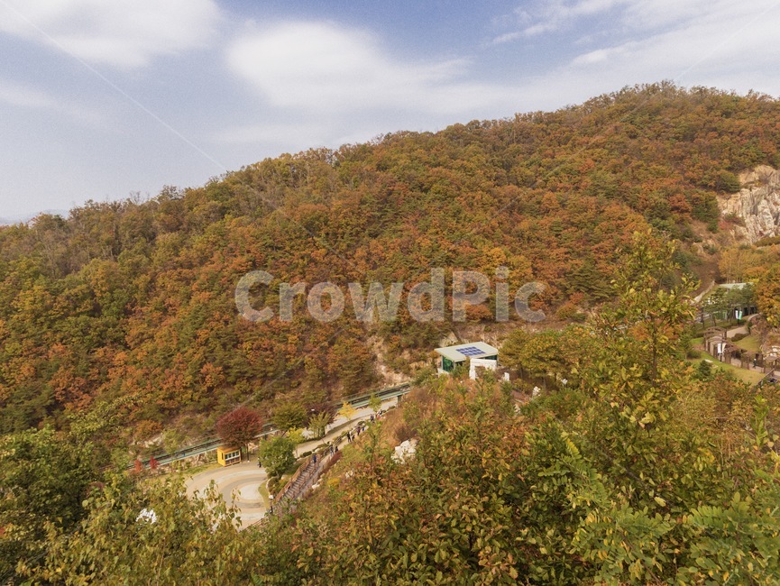nature,자연,풍경,landscape,가을,단풍,산,outdoors,옥외,hill,언덕,가을,계절,fall,autumn,season,자연,풍경,nature,landscape