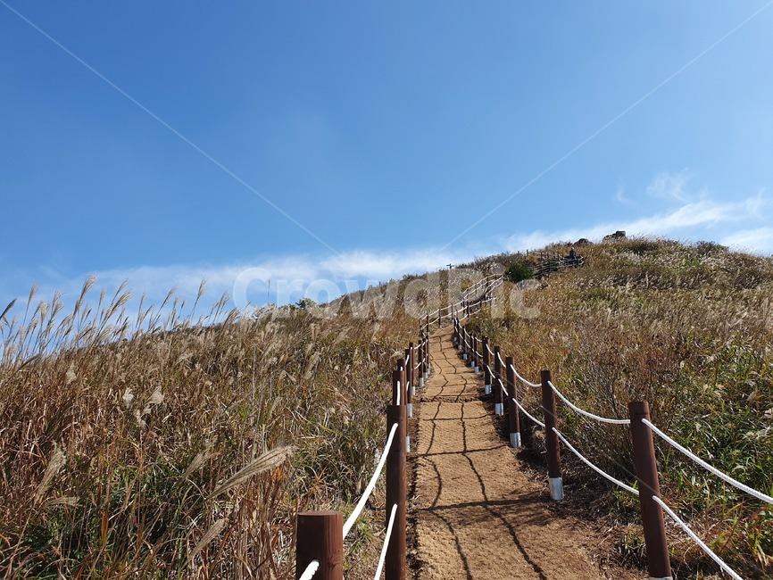 흙길,오솔길,역광,자연,오르막,nature,언덕,언덕길,자연풍경,화왕산,산책길,산정상,field,식물,억새,산책로,갈대,구름,난간,오르막길,자연,풍경,nature,landscape,handrail,banister,railing