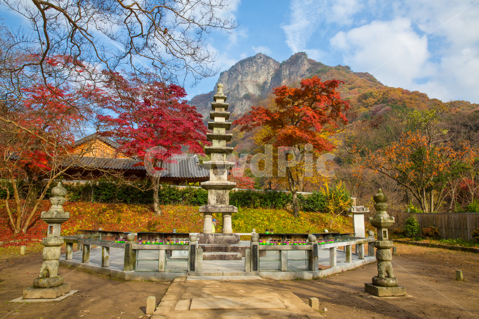 풍경,자연,가을,만추,백양사,사찰,산,백암산,탑,탑돌이,하늘,구름,계절,석탑,흰구름,나무,단풍나무,단풍,잎,단풍잎