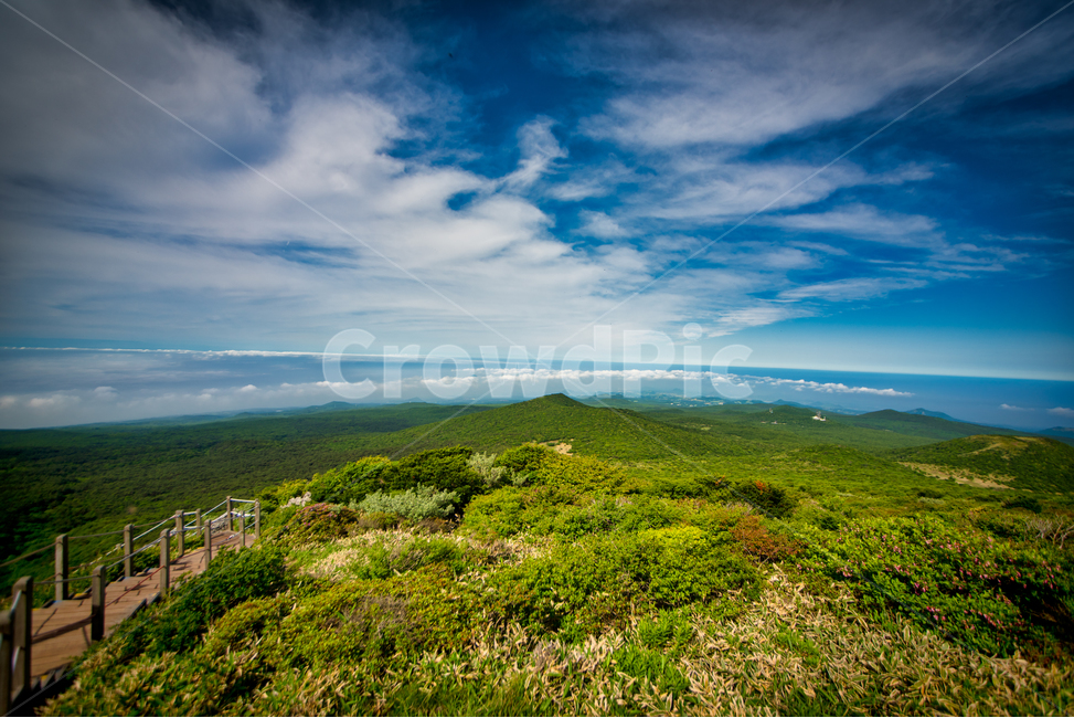 제주도,한라산,nature,자연,outdoors,옥외,hill,언덕,countryside,구름,나무