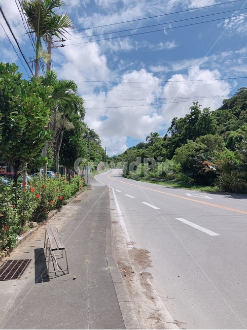 도로,오키나와,일본,길,여름,자연,풍경,nature,landscape,road,asphalt,아스팔트