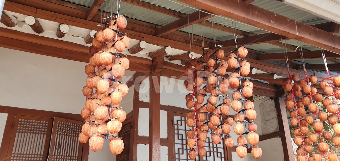 곶감,감,가을,한옥,만추,추석,시골,마을,풍경,landscape,country,rural,town