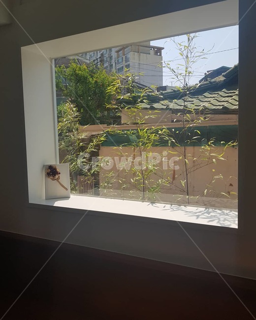 카페,창문,자연스러움,햇빛,따뜻함,커피,커피한잔