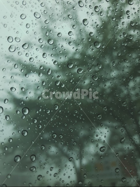 비오는날,차안,비,물방울,빗물,자연,풍경,배경,물,비,비오는날,rain,rainy