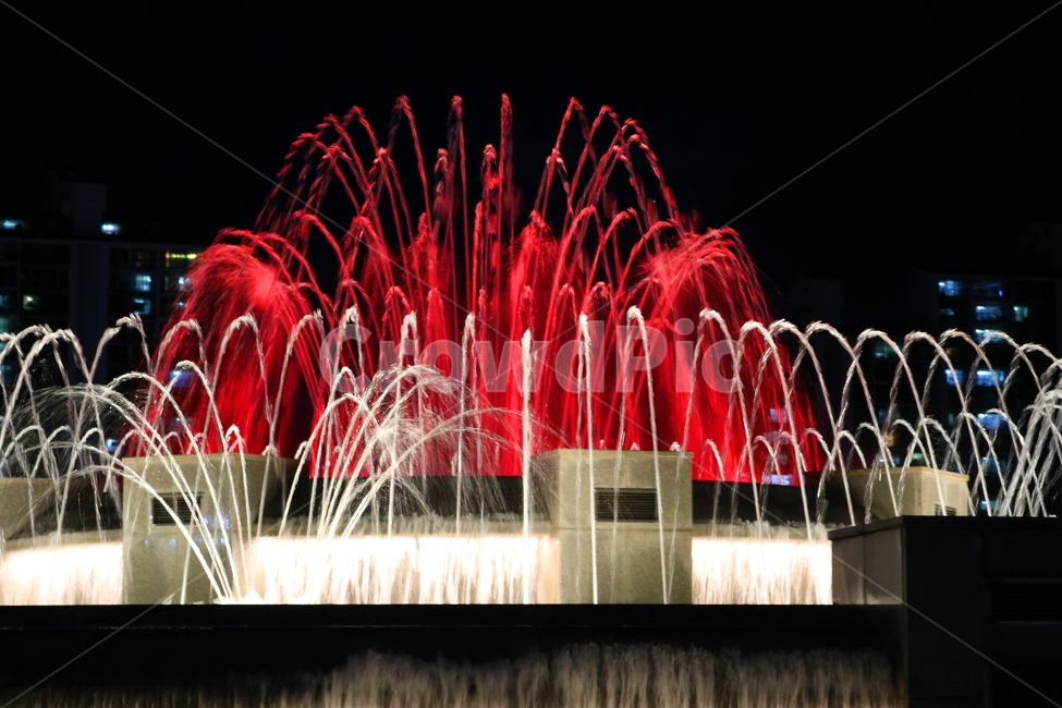 분수대,분수,물,야경,밤,풍경,빛,야경,밤,풍경,nightscape,night,landscape,water,fountain