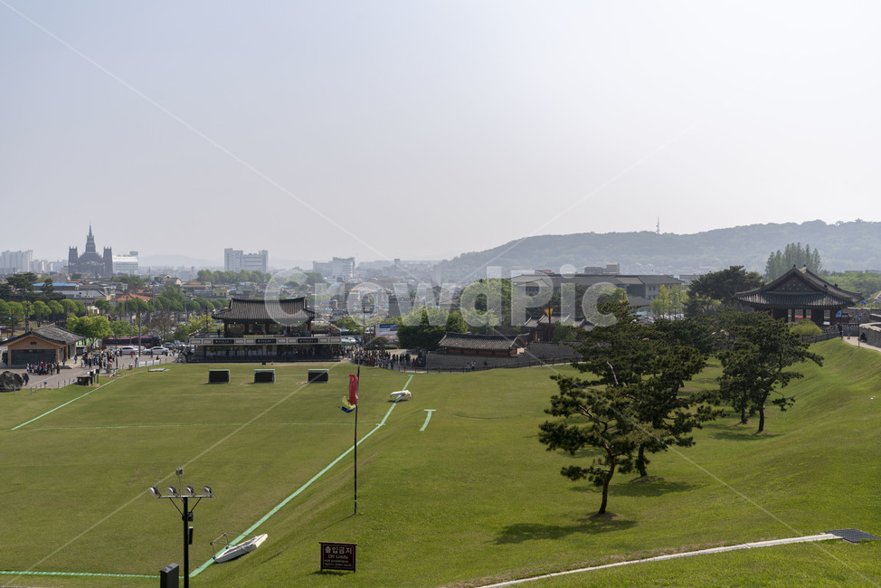 수원,수원화성,연무대,초록,소나무,벌판,잔디밭,잔디,도시,유네스코,세계문화유산,화성
