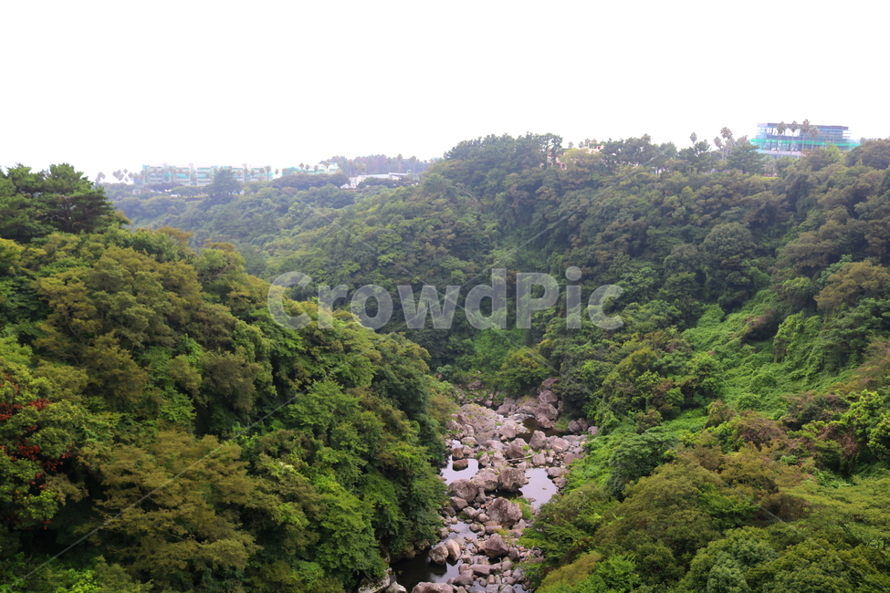 나무,계곡,자연,풍경,식물,자연,풍경,nature,landscape,outdoors,옥외,water,물