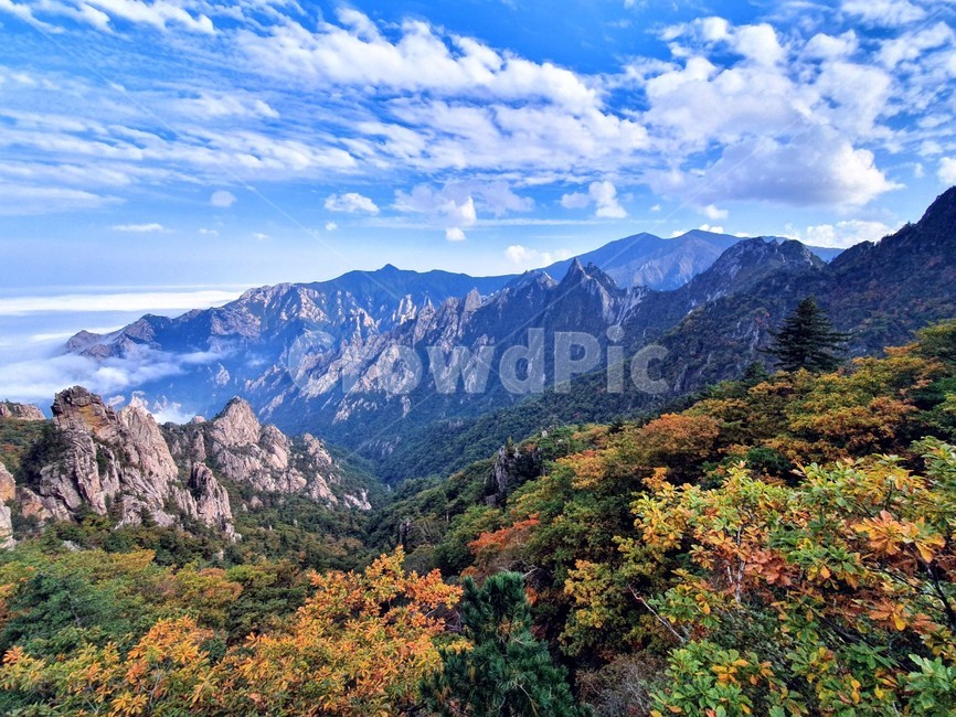 설악산,가을,단풍,국립공원,공룡능선,설악단풍,가을,계절,fall,autumn,season,자연,풍경,nature,landscape,한국자연풍경,한국자연경관,korea nature landscape,outdoors,옥외,mountain,산,mountain range,산맥