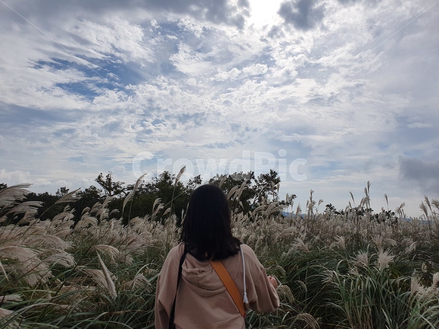 제주,제주도,jeju,가을,억새,새별오름,오름,구름,하늘,뒷모습