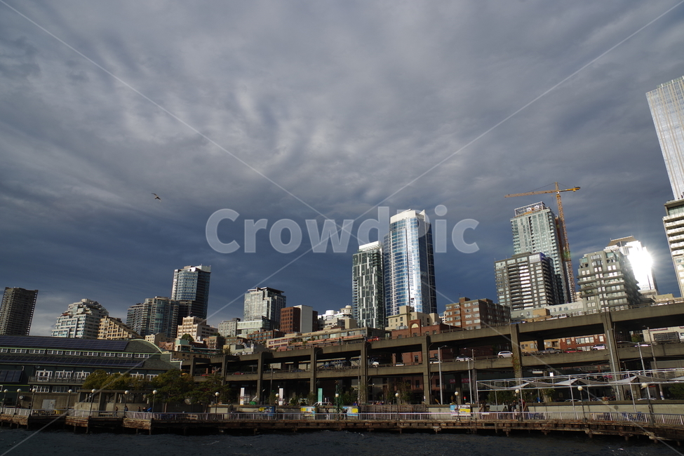 미국,샌프란시스코,도시,seattle,ocean,city,downtown,도시,풍경,city,landscape