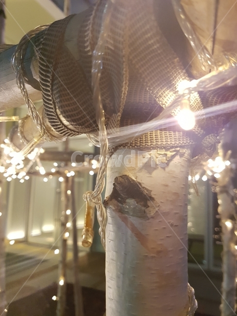 전등,불빛,인테리어,나무,전구,빛,인테리어,실내디자인,interior design