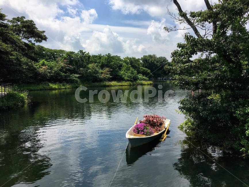 하늘,구름,강,호수,배,나무,초록,여름,꽃,자연,풍경,nature,landscape,transportation,교통,canoe,카누,rowboat,노 젓는 배,vehicle,차량,boat,보트