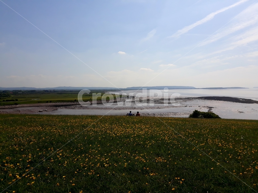 field,들,outdoors,옥외,grassland,목초지,nature,자연,countryside,farm,농장,농촌,meadow,uk,clevedon,클리브던,영국,자연,풍경,nature,landscape,rural
