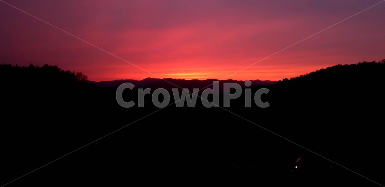 노을,해,sunset,풍경,자연,숲,보라빛