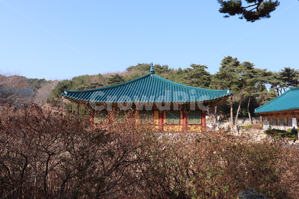 building,건물,architecture,건축물,worship,신사,shrine,신전,temple,예배,절,전통,traditional,한국전통,한국문화,korean traditional,korean culture
