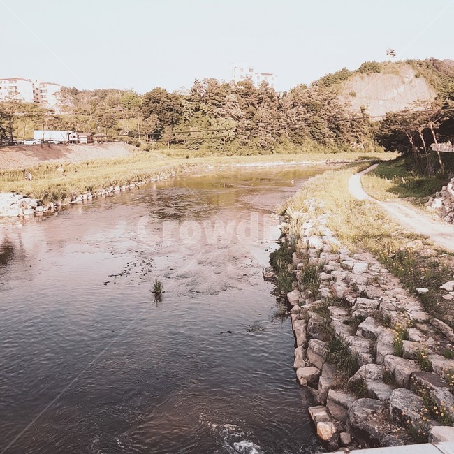 풍경,자연,개울,물가,water,물