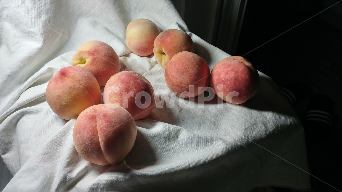 복숭아,과일수채화,과일,수채화,음식,정물,정물화,그림자료,과일,열매,fruit