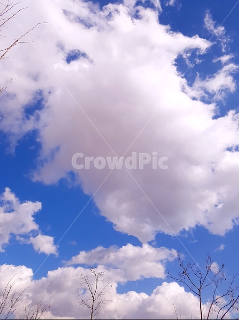 하늘,흰구름,풍경,맑음,해,자연,풍경,nature,landscape,outdoors,옥외,weather,날씨,sky,cumulus,적운,cloud,구름