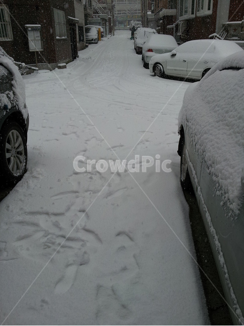 겨울,눈,눈쌓임,발자국,자동차,골목,winter,snow,car,겨울,계절,winter,season