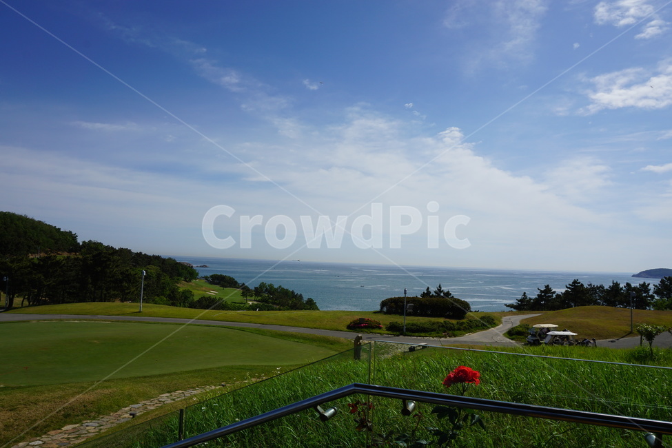 outdoors,옥외,field,들,golf,golfcourse,china,중국,자연,풍경,nature,landscape