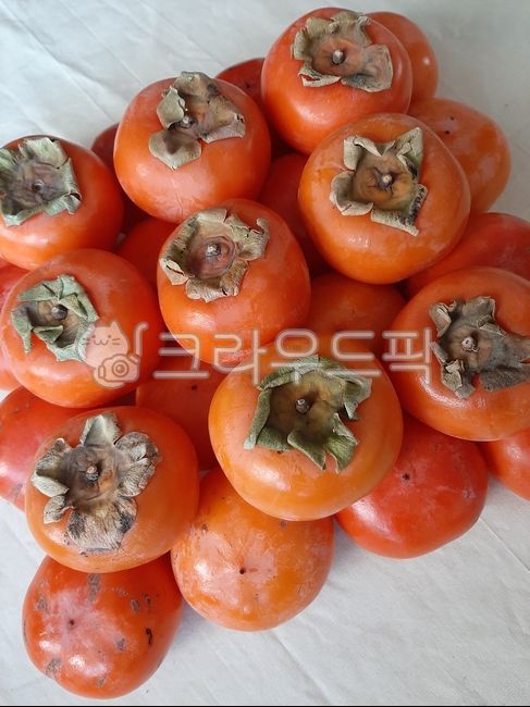 홍시,반시,감,fruit,과일,food,음식,persimmon,가을,감꼭지,말랑말랑,후식,dessert,fall,autumn,과일,열매,fruit