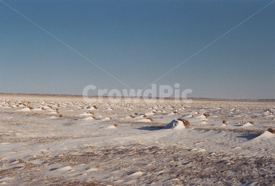 고비사막,사막,몽골,자연,하늘,눈보라,눈,snow,바닥,흙,벌판,자연,풍경,nature,landscape