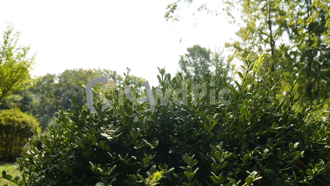 jar,vegetation,식물,plant,초록,green