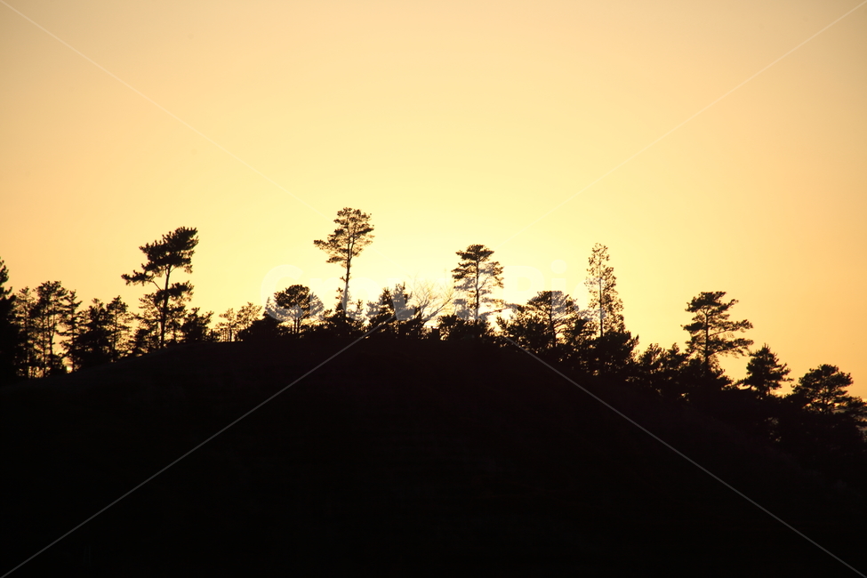 석양,노을,산,나무,settingsun,자연,풍경,nature,landscape,실루엣,그림자,silhouette,shadow,tree,plant,식물,outdoors,옥외,fir,전나무