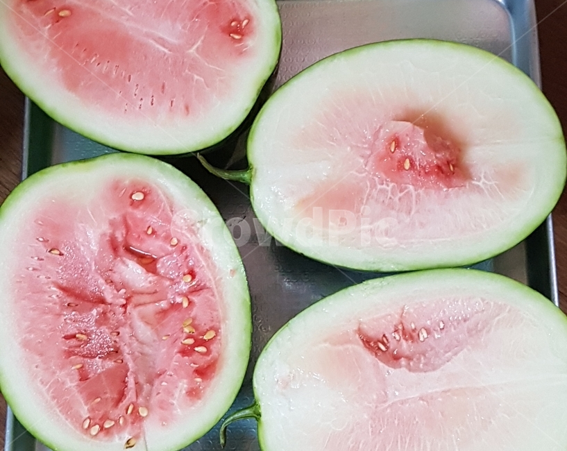 수박,여름,덜익은,자른,배경,바탕,야채,안익은,food,농산물,농부,속상,과즙,빨강,초록,fruit,과일,식물,과일,열매,fruit