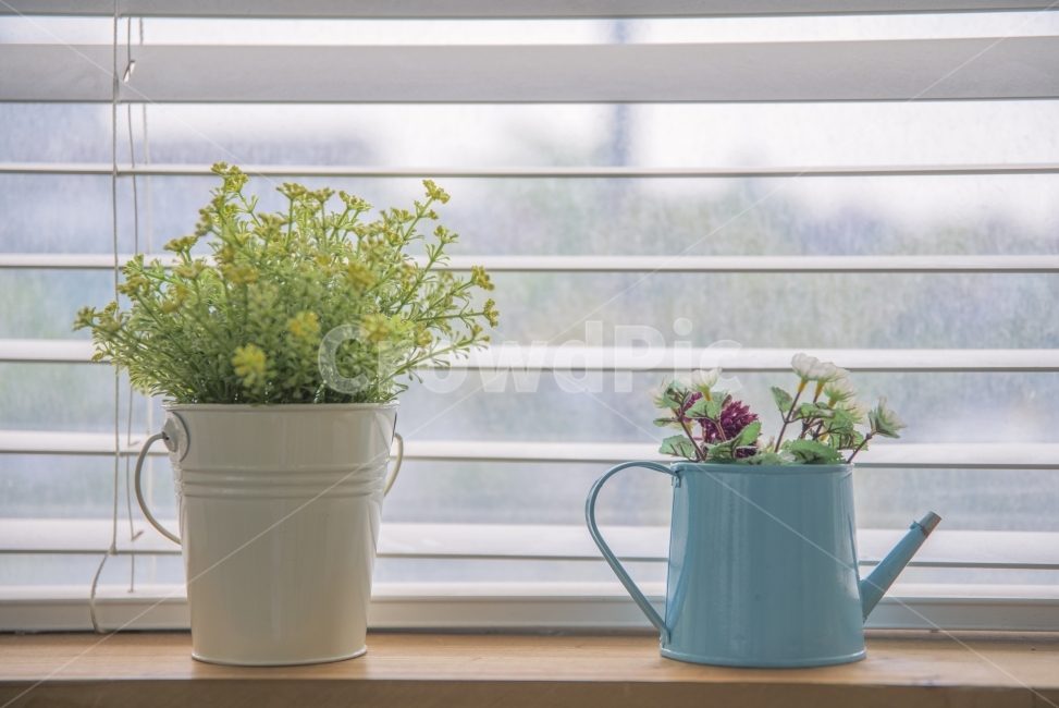 화분,화분사진,장식,꽃,감성사진,감성,사진,식물,자연,plants,nature,꽃,flower,실내용화초,화분,화초,house plant,인테리어,실내디자인,interior design,사물,물건,오브젝트,thing,object,matter