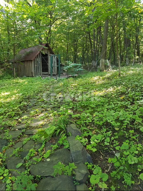 힐링,자연,초록,풍경,숲,자연,풍경,nature,landscape,outdoors,옥외,building,건물
