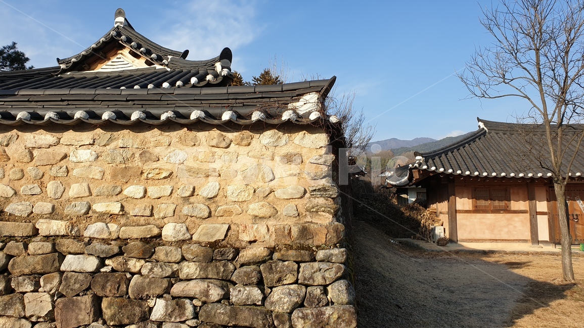고택,기와,옛날집,기와집,돌담,자연,돌담집,한옥집,한옥,한국전통,한국문화,korean traditional,korean culture,건축물,건물외관,exterior,building,structure,architecture,construction