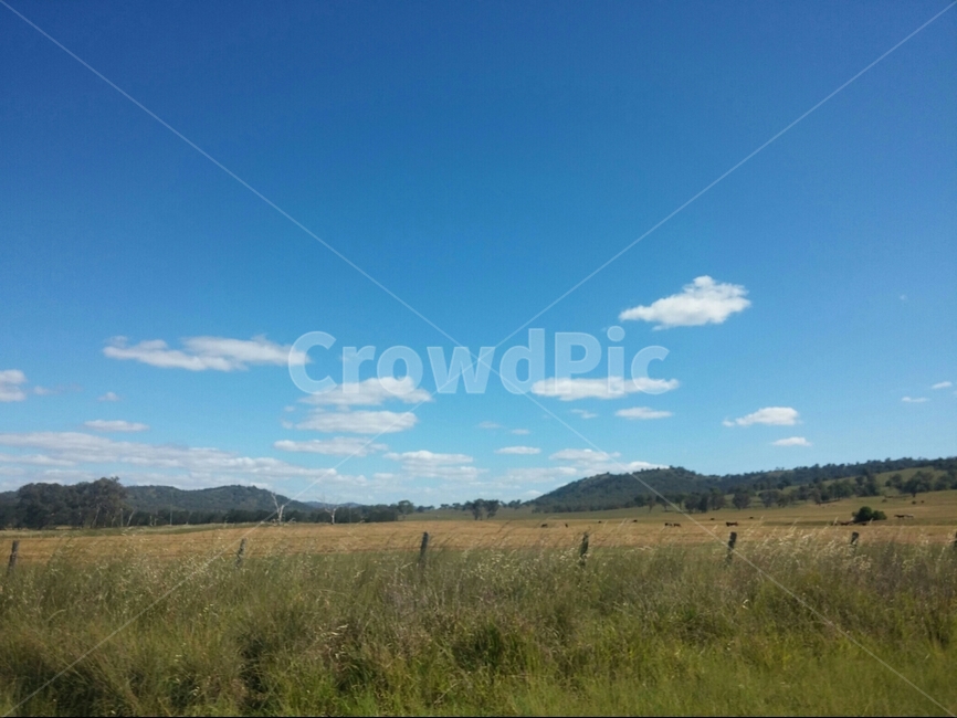자연,들판,바탕화면,호주,스탠소프,평화로운,하늘,자연,풍경,nature,landscape,outdoors,옥외,field,들,grassland,목초지