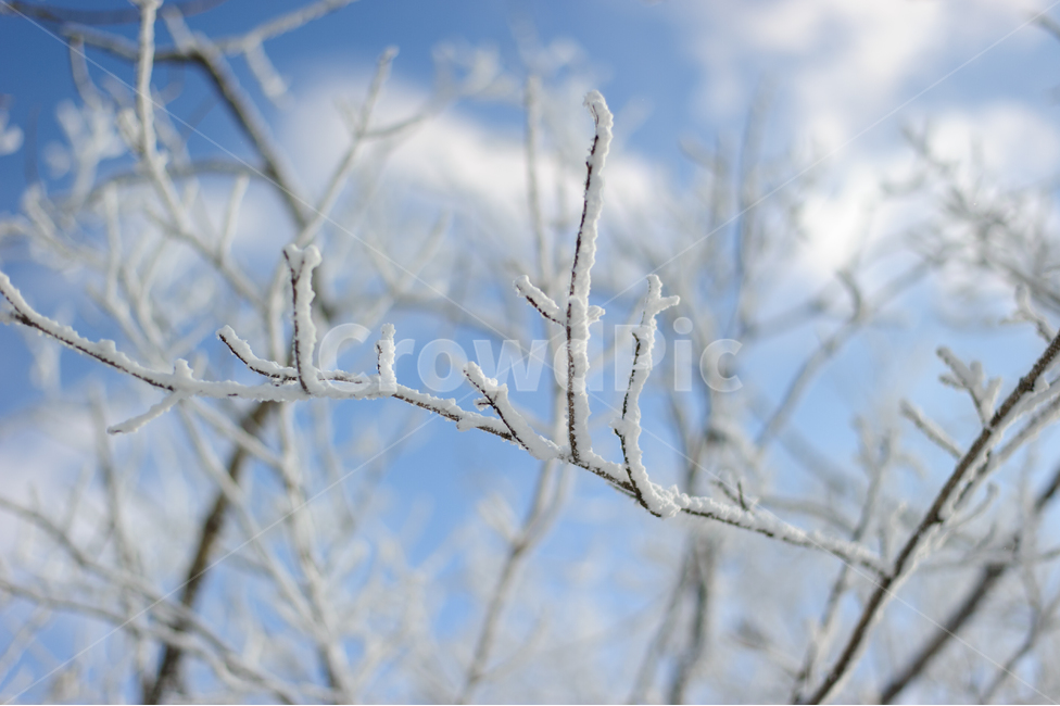 상고대,겨울,겨울산행,덕유산,추위,겨울,계절,winter,season,자연,풍경,nature,landscape,outdoors,옥외,snow,눈