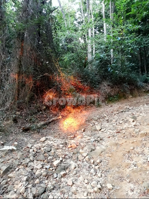 자갈,흙길,dirtroad,도로,road,산길,햇빛
