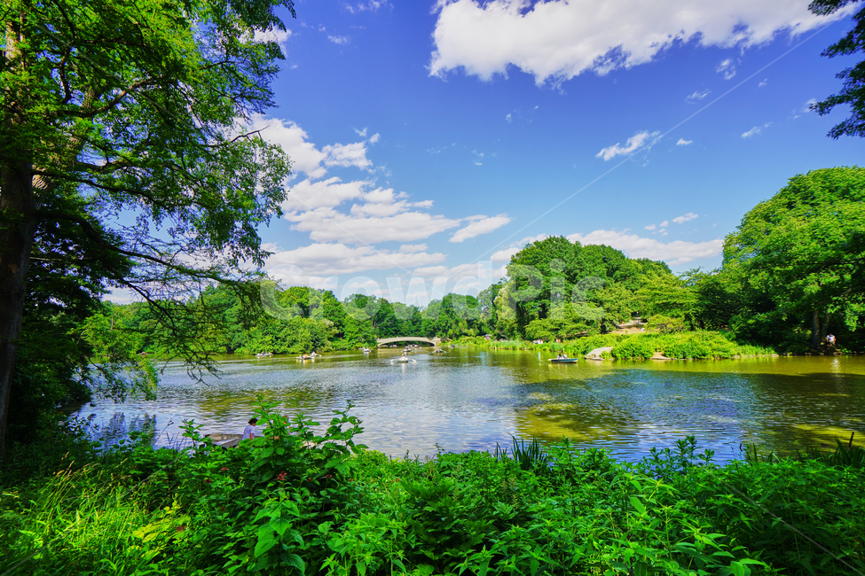 뉴욕,센트럴파크,centralpark,newyork,공원,파란하늘,호수,자연,풍경,nature,landscape,해외,외국,세계,foreign,oversea,world,세계자연풍경,해외자연풍경,외국자연풍경,world nature landscape,water,물,outdoors,옥외,land,땅