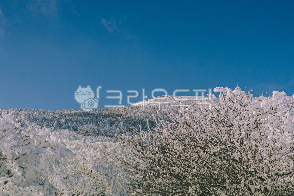 겨울,상고대,국립공원,한라산,등산,눈꽃,겨울산,대한민국,겨울풍경