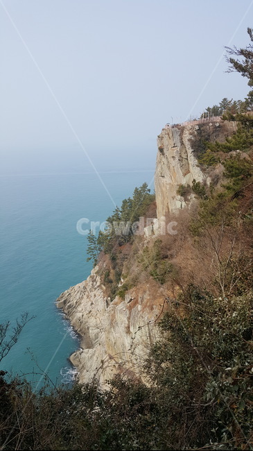 자연,금오도,비렁길,바다,절벽,안개낀바다,낭떠러지,자연,풍경,nature,landscape,outdoors,옥외,cliff