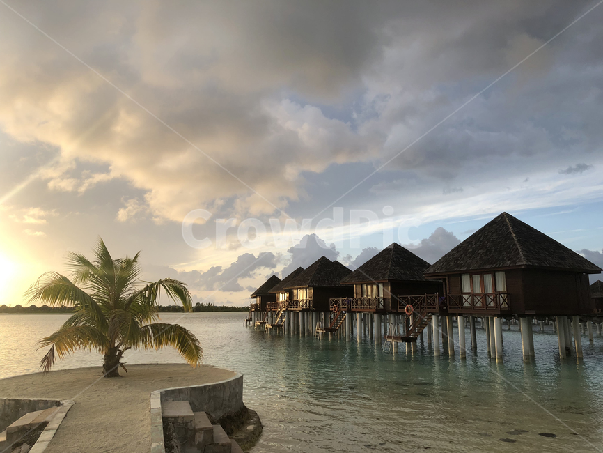몰디브,maldives,휴양지,섬,island,하늘,dawn,daybreak,새벽,sky,구름,cloud,colorful,자연,nature,바다,해변,sea,beach,seaside,실루엣,silhouette,로맨틱,romantic,outdoors,옥외,ocean,물,해안선,coast,대양,weather,날씨,적운,cumulus,watervilla,물결,waves,모래사장,sand,sandybeach,house,집,숙소,리조트,resort,건물,building,tree,나무,야자수,palm
