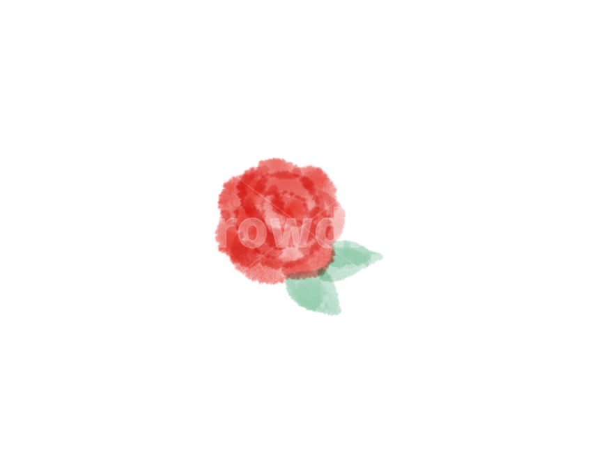 꽃일러스트,물감일러스트,수채화꽃,장미일러스트,카네이션일러스트,손그림카네이션,장미그림,카네이션그림,가정의달이미지공모전,누끼,remove background